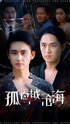 《孤鸟越沧海》：一部关于救赎与希望的史诗级冒险，年度催泪佳作！